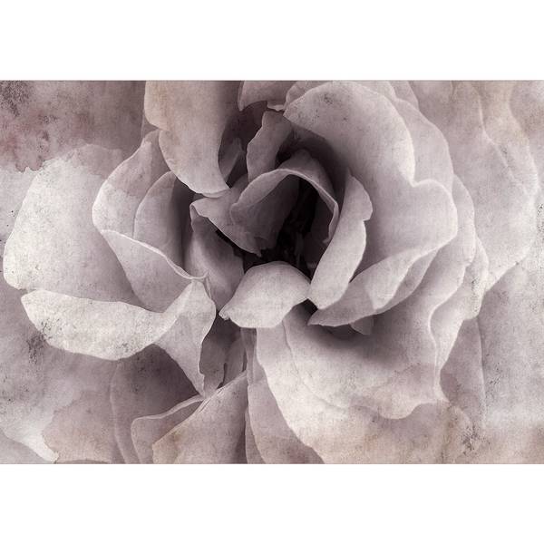Fotomurale Entrance to Bliss Tessuto non tessuto premium - Multicolore - 300 x 210 cm