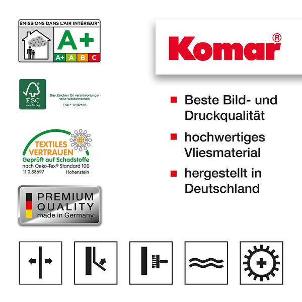 Fotomurale Emilia Blu - Blu / Bianco