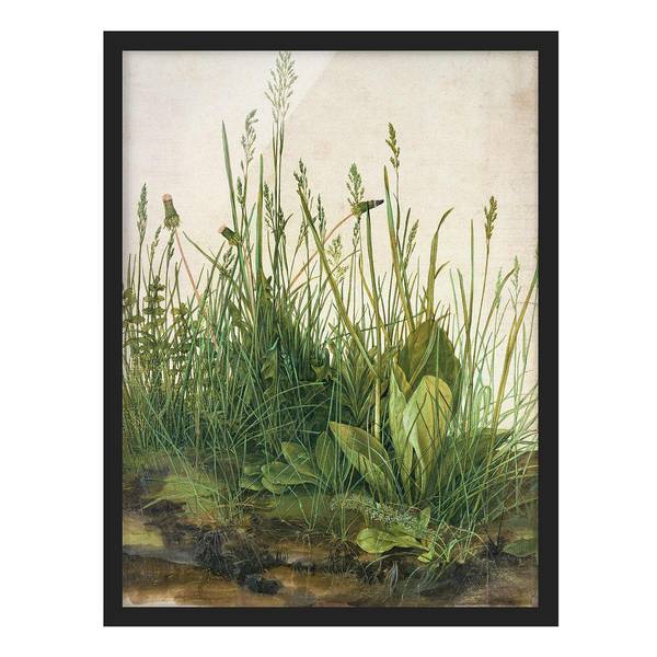 Bild Albrecht Dürer Das große Rasenstück Papier / Kiefer - Grün - 50 x 70 cm