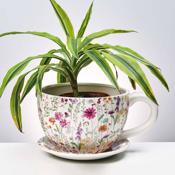 Pflanztasse PLANT A CUP Blumendekor Dolomit - Mehrfarbig