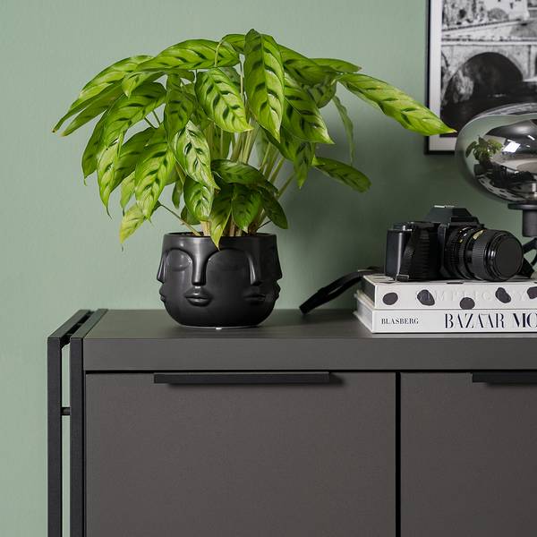 Kast HERBY 2 deuren grafietkleurig