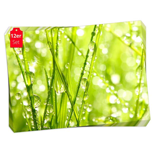 Placemats Gras & Zon (set van 12) papier - meerdere kleuren