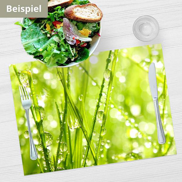 Placemats Gras & Zon (set van 12) papier - meerdere kleuren