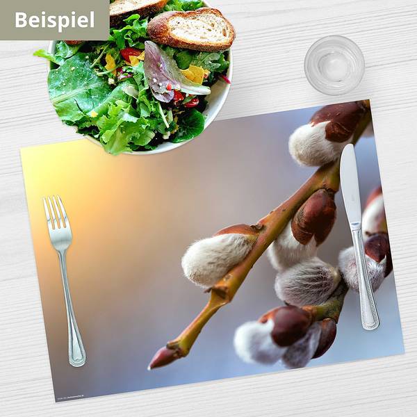Tischset Weidenkätzchen (12er-Set) Papier - Mehrfarbig