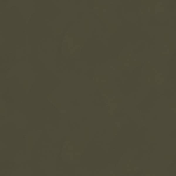 Papier peint intissé Grundputz Intissé - Kaki