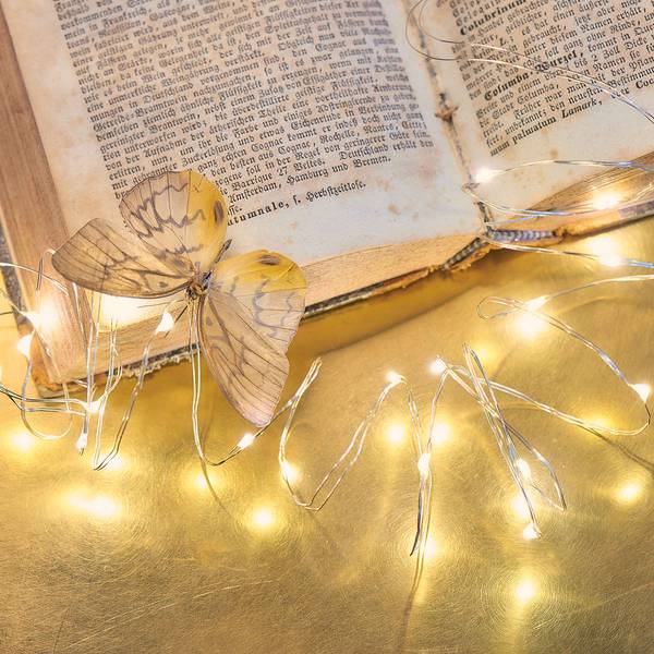 Guirlande lumineuse TWINE LIGHTS Polyester PVC - 100 ampoules - Argenté