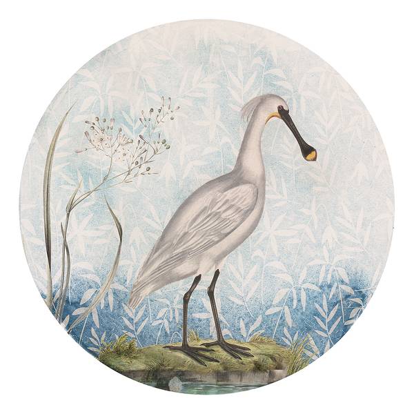 Vlies Fototapete Spoonbill Vlies - Mehrfarbig