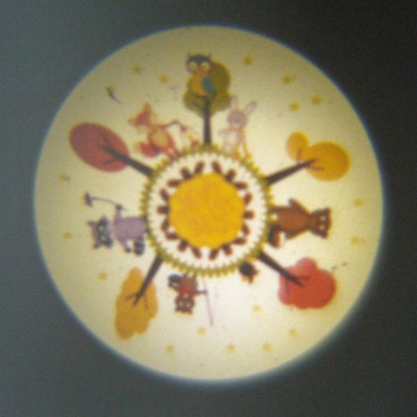 Lampada LED per cameretta Animali I Policarbonato - 1 punto luce