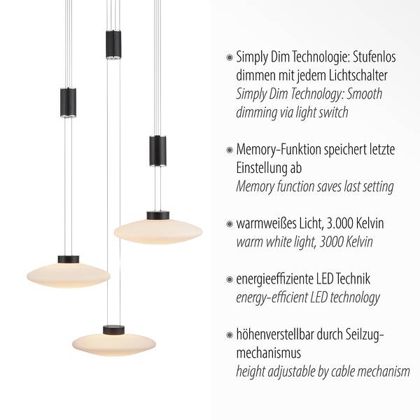 Pendelleuchte Lautada Milchglas / Eisen - 3-flammig - Schwarz - Durchmesser: 43 cm