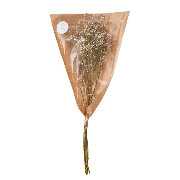 Fiori secchi FLOWER MARKET Gipsofila Foglie - Natura