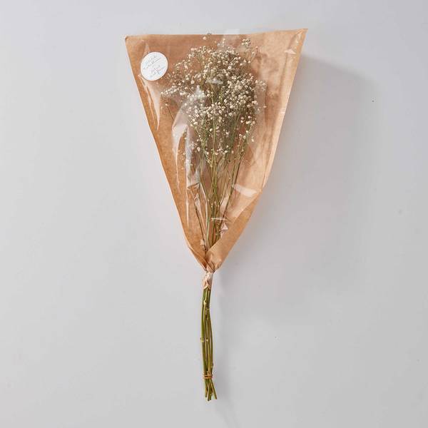 Fiori secchi FLOWER MARKET Gipsofila Foglie - Natura