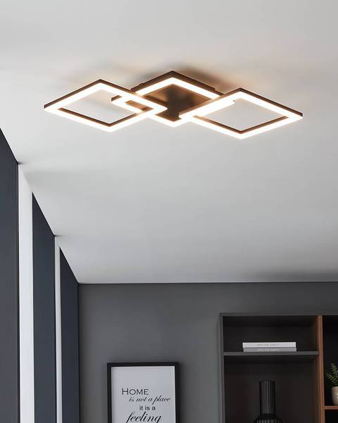 Deckenleuchte Paranday-Z Typ C Stahl / Polycarbonat - 1-flammig