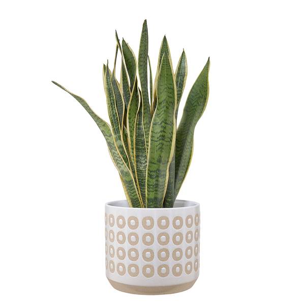 Bloempot ENO aardewerk - wit