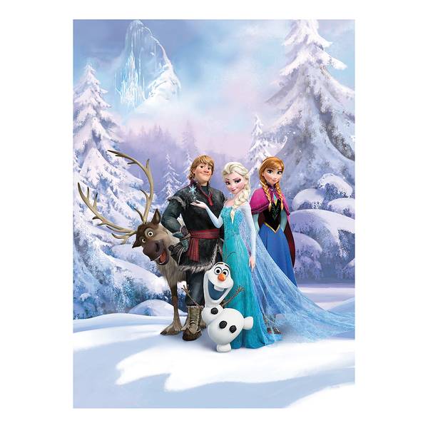 Papier peint Reine des Neiges hiver Papier peint spécial