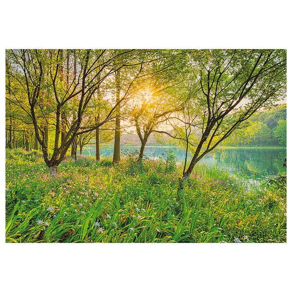 Papier peint Spring Lake Papier peint spécial