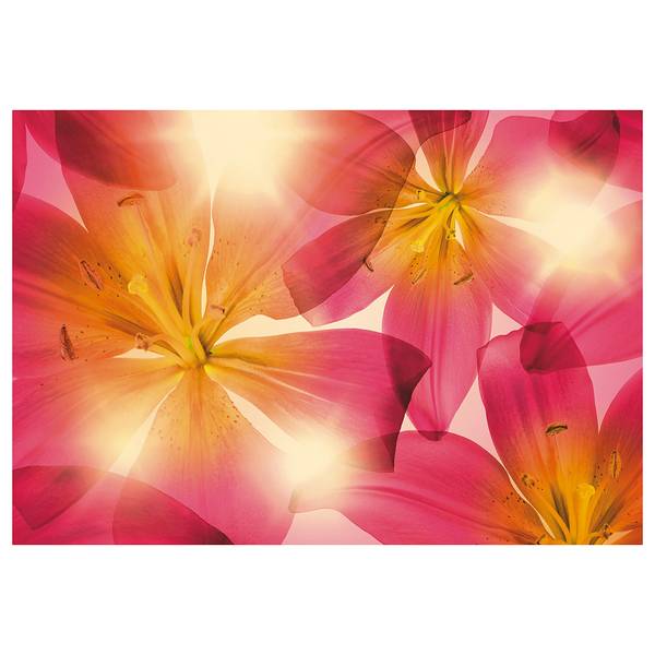 Fotobehang Summer Sun Speciaal fotobehangpapier