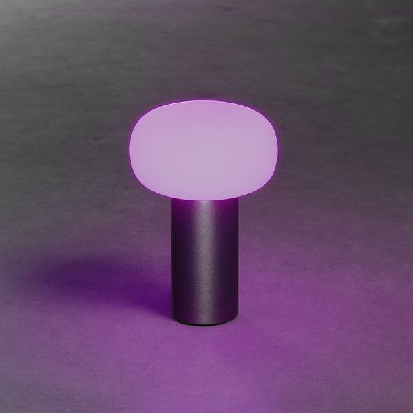 Lampe Antibes Aluminium / Verre opalin - 1 ampoule - Marron rouille
