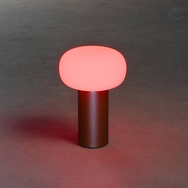 Lampe Antibes Aluminium / Verre opalin - 1 ampoule - Marron rouille