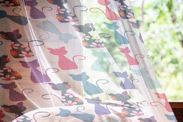 Schlaufenschal Kätzchen 2er-Set Polyester - Multicolor - Höhe: 180 cm