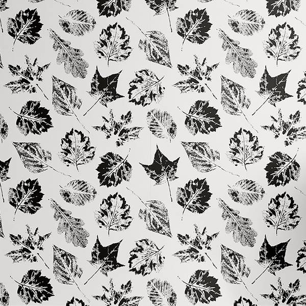 Carta da parati Foglie autunnali PVC - Nero / Bianco - Altezza: 250 cm