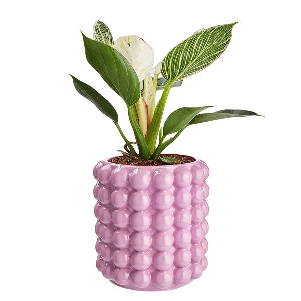 Vaso da fiori BUBBLE Ø11,5 cm, rosa Grès - Rosa - Rosa