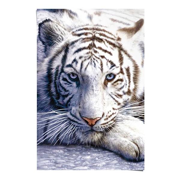 Poster White Tiger papier- wit - 61 x 91,5 cm