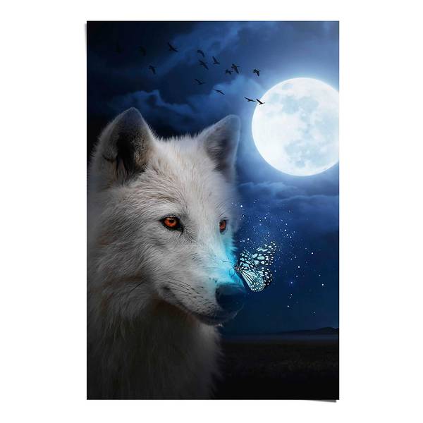 Poster Lupo bianco Carta - Blu - 61 x 91,5 cm