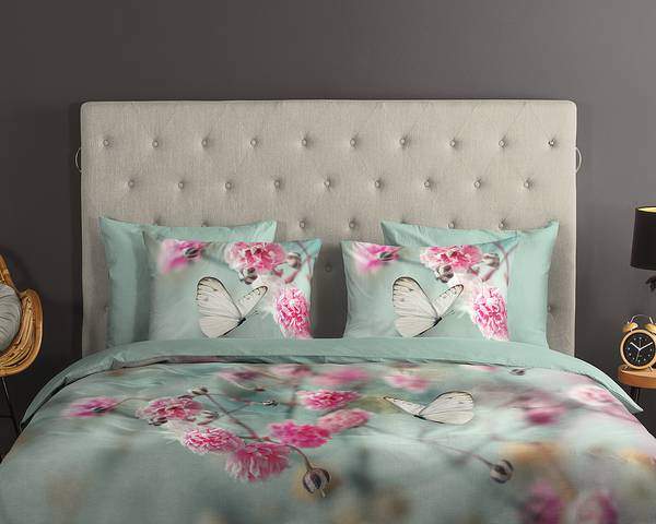 Renforcé Bettwäsche Adel Renforcé - Mintgrün - 240 x 200/220 cm + 2 Kissen 70 x 60 cm