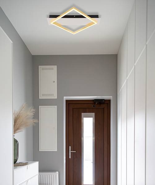 LED-plafondlamp Lesina aluminium/acrylglas - Aantal lichtbronnen: 1