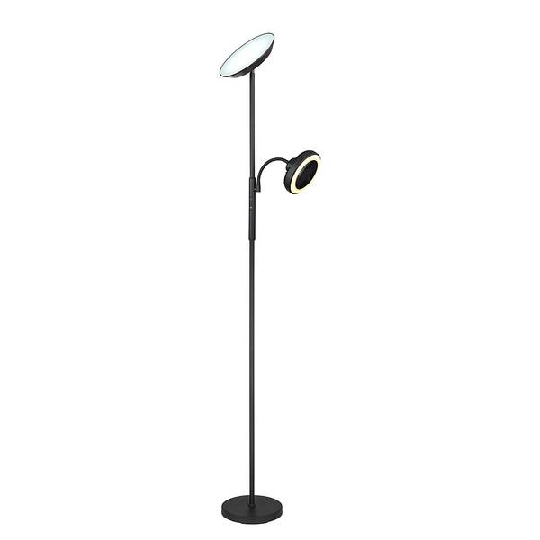 Staande LED-lamp Davyd ijzer/acrylglas - 2-lichts
