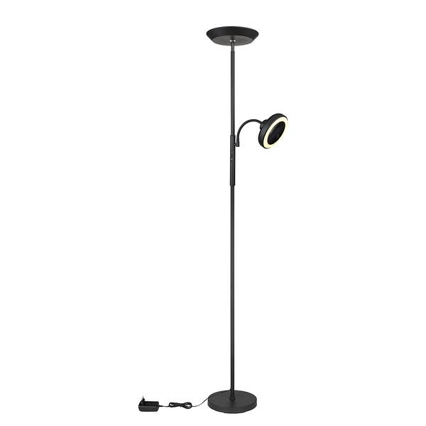 Staande LED-lamp Davyd ijzer/acrylglas - 2-lichts