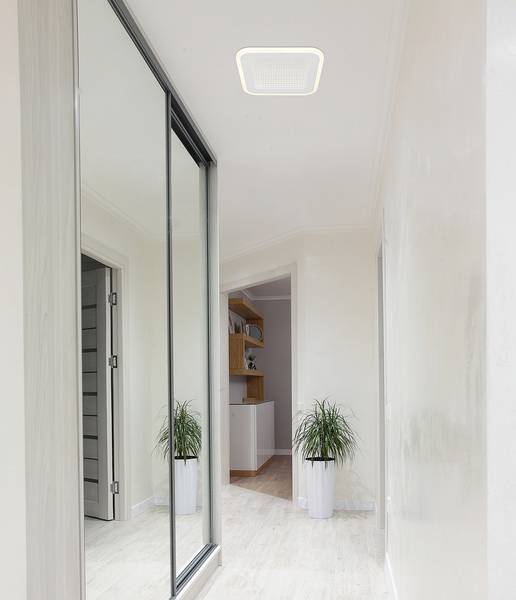 LED-Deckenleuchte Lamela Eisen / Acrylglas - 1-flammig