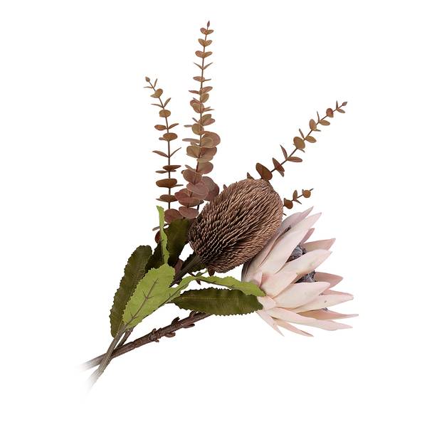 Fiori secchi King Protea B Polietilene / Multicolore