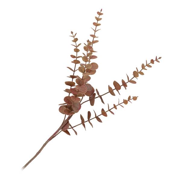 Fiori secchi King Protea B Polietilene / Multicolore