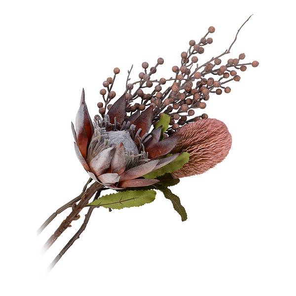 Fleurs séchées King Protea - Type A Polythylène - Multicolore