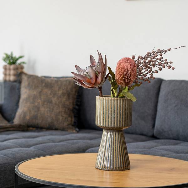 Fleurs séchées King Protea - Type A Polythylène - Multicolore