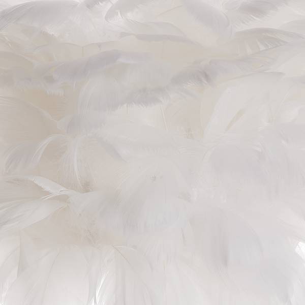 Lampada da tavolo FIORELLA Piume Metallo, piume - 1 punto luce