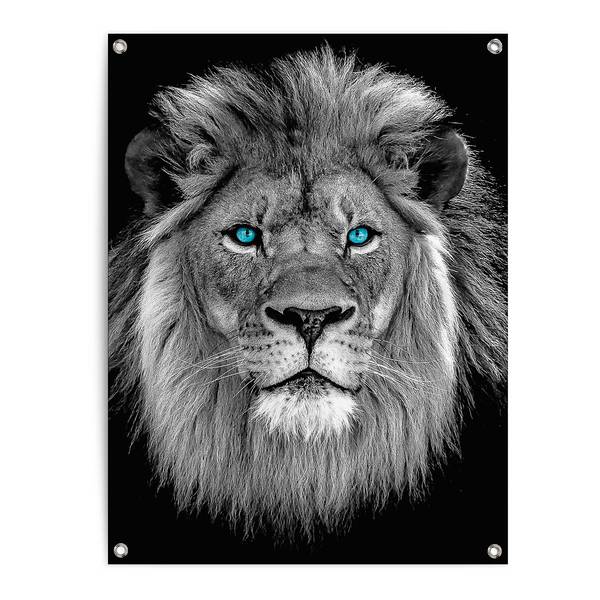 Poster extérieur Lion aux yeux bleus PVC - Noir - 60 x 80 cm
