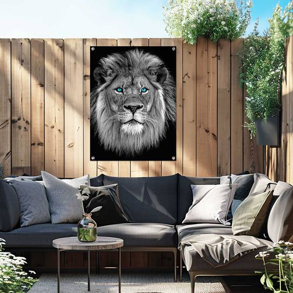 Poster extérieur Lion aux yeux bleus PVC - Noir - 60 x 80 cm
