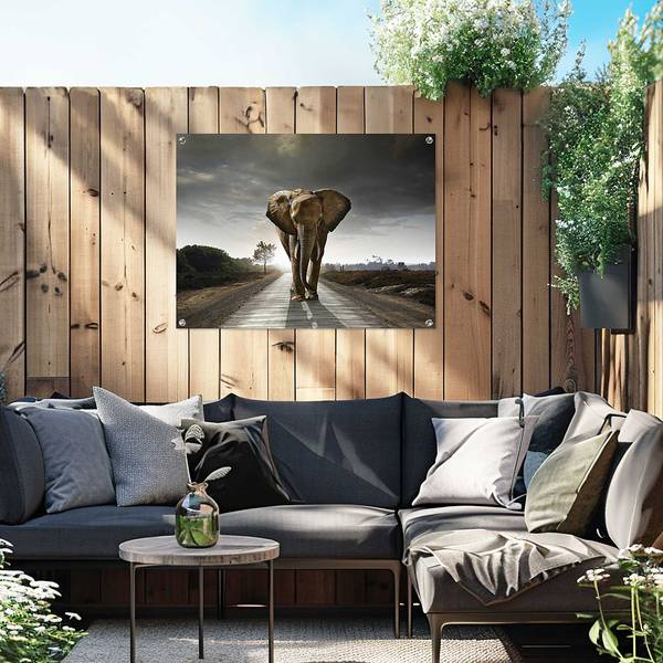 Poster extérieur Roi éléphant PVC - Marron - 60 x 80 cm