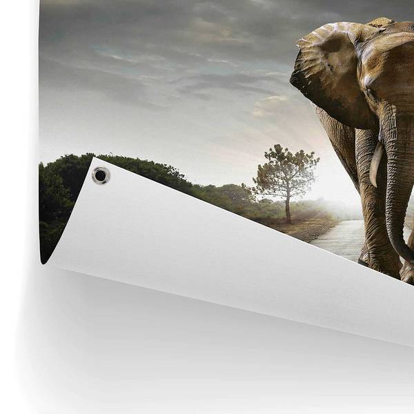 Poster extérieur Roi éléphant PVC - Marron - 60 x 80 cm