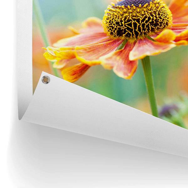 Outdoor-poster Bloem PVC - oranje - 60 x 80 cm