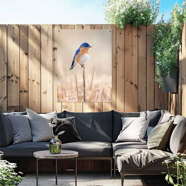 Outdoor-Poster Blauer Vogel PVC - Blau - 60 x 80 cm