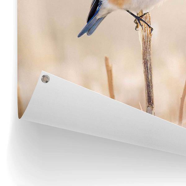 Outdoor-Poster Blauer Vogel PVC - Blau - 60 x 80 cm