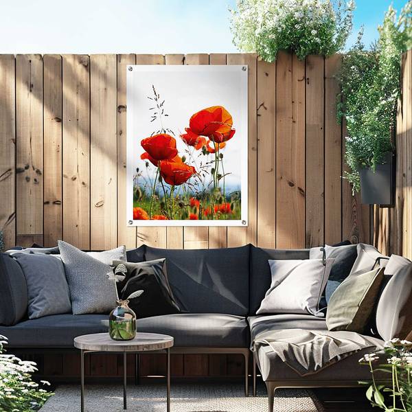 Poster extérieur Coquelicots PVC - Rouge - 60 x 80 cm