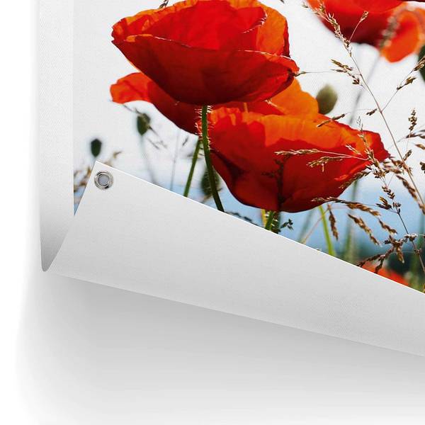 Poster extérieur Coquelicots PVC - Rouge - 60 x 80 cm