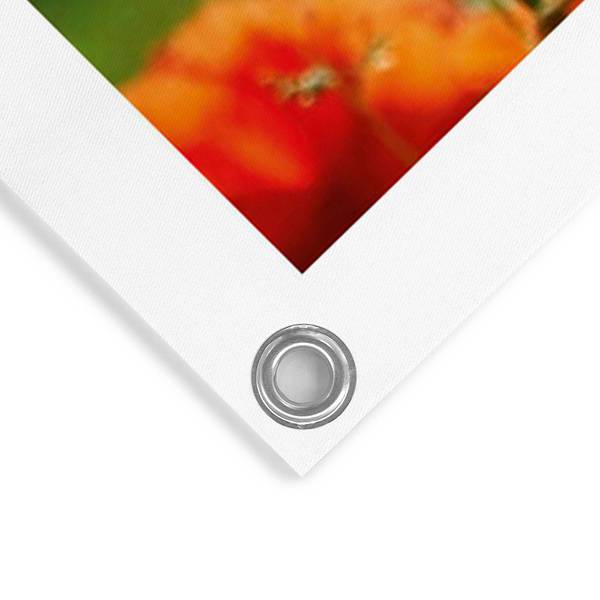 Poster extérieur Coquelicots PVC - Rouge - 60 x 80 cm