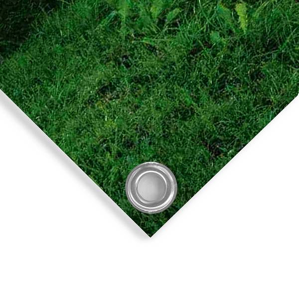 Outdoor-Poster Früh morgens PVC - Grün - 60 x 80 cm