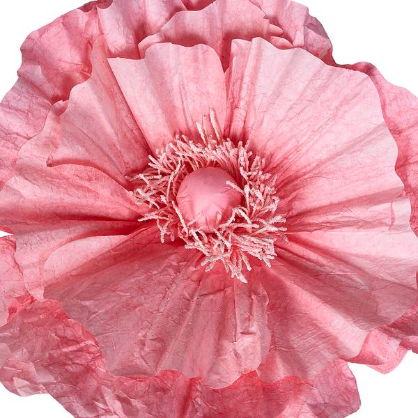 Deko-Blume BLOOM Papier / Eisen - Rosa