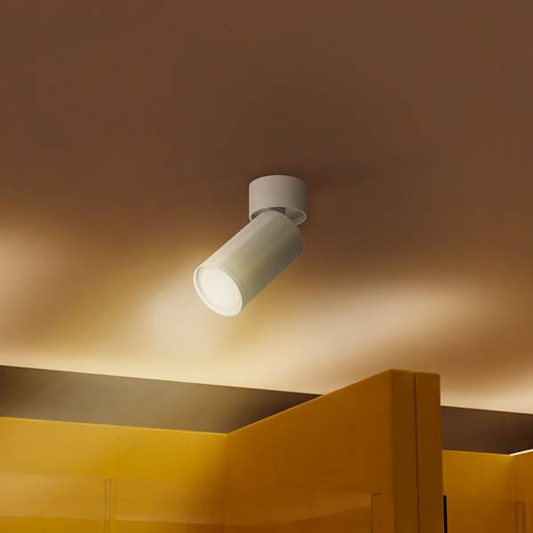 Plafonnier Focus S - Type D Aluminium - 1 ampoule